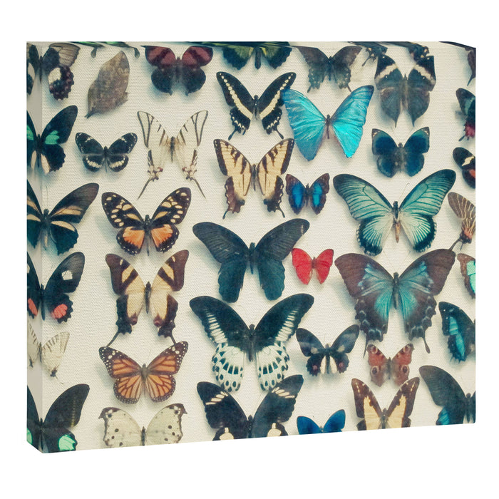 Wings Canvas Print Gallery Image 1