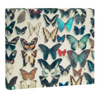 Wings Canvas Print Gallery Image 12