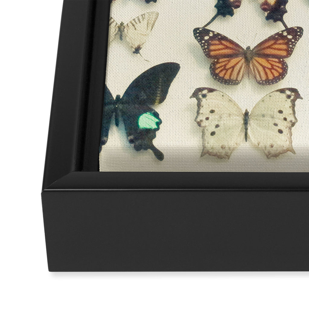 Wings Framed Canvas Print Gallery Image 3