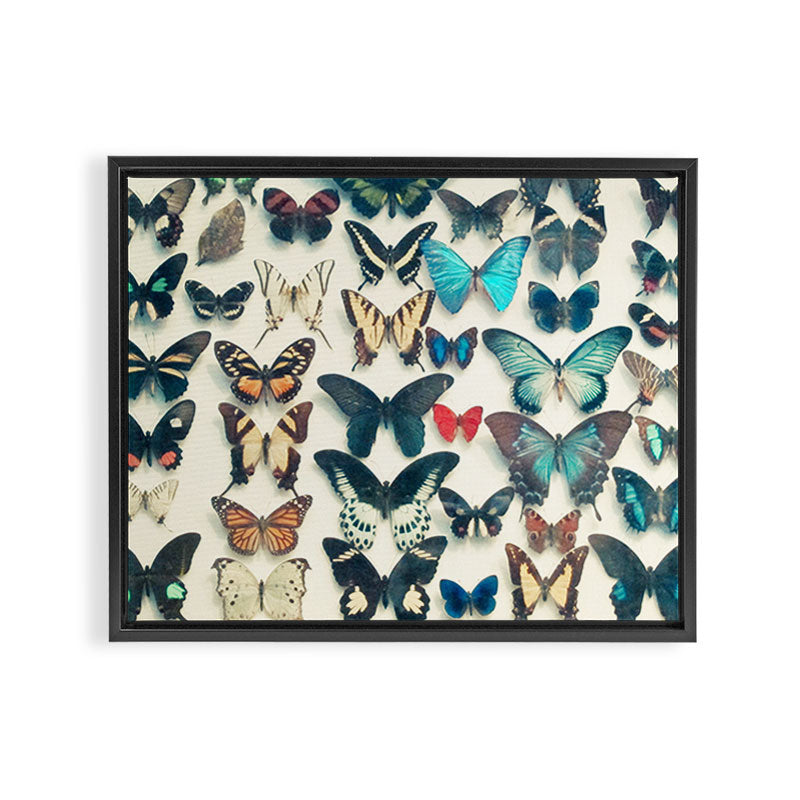 Wings Framed Canvas Print Gallery Image 2