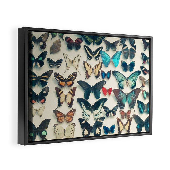 Wings Framed Canvas Print Gallery Image 1