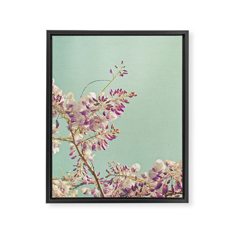 Wisteria Framed Canvas Print Gallery Image 8