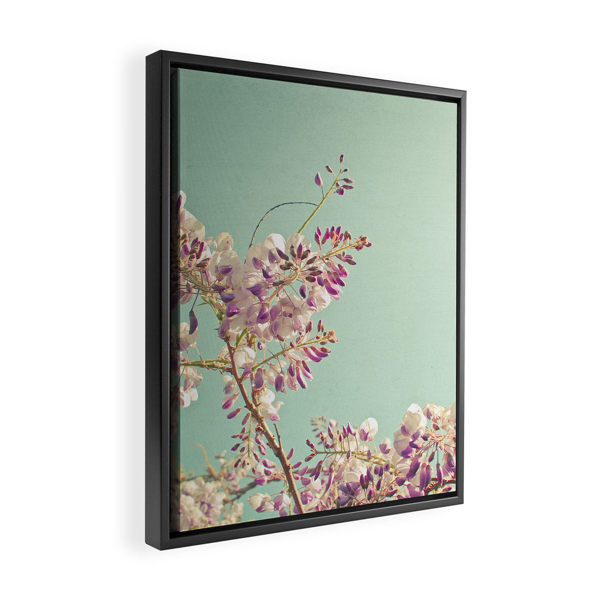 Wisteria Framed Canvas Print Gallery Image 2