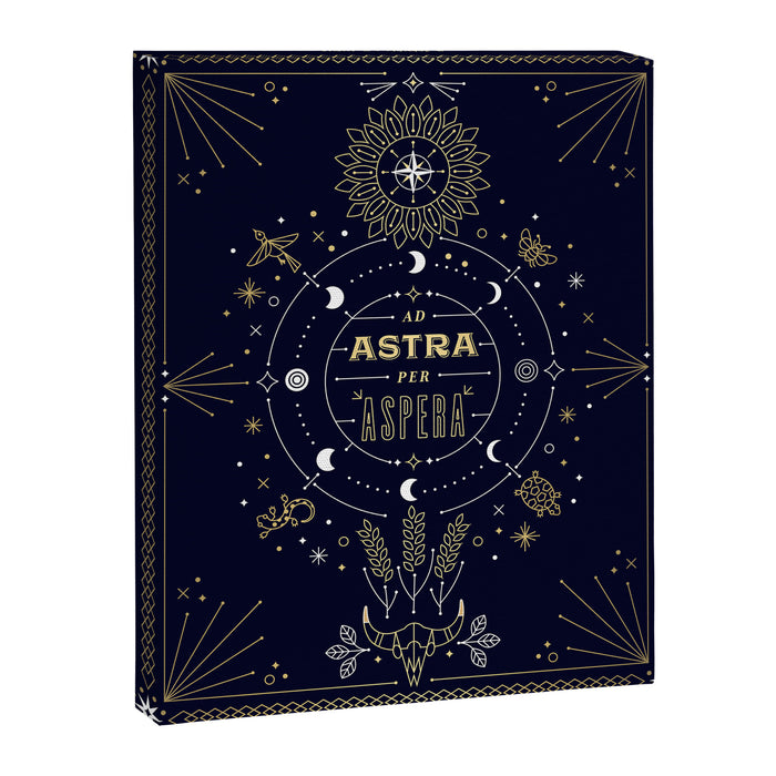 Ad Astra Per Aspera Canvas Print Gallery Image 1