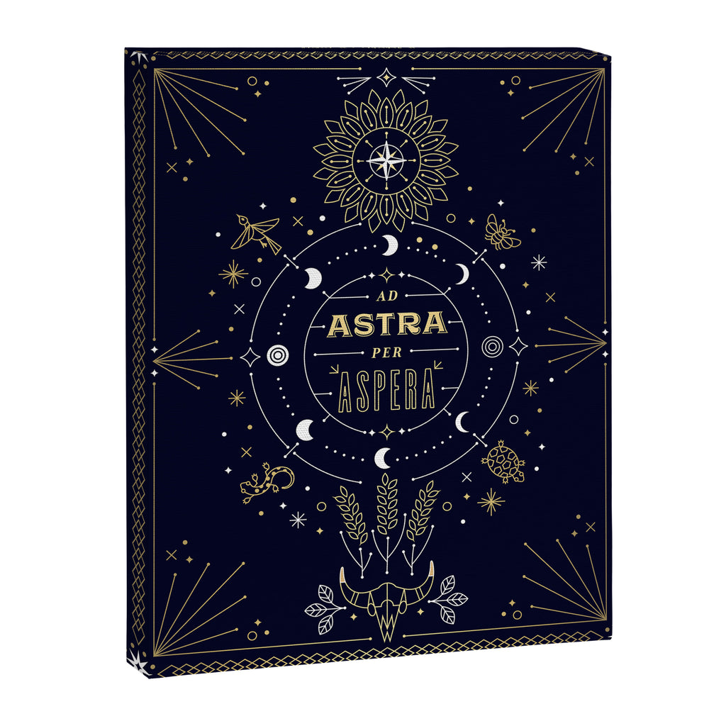 Ad Astra Per Aspera Canvas Print Gallery Image 8