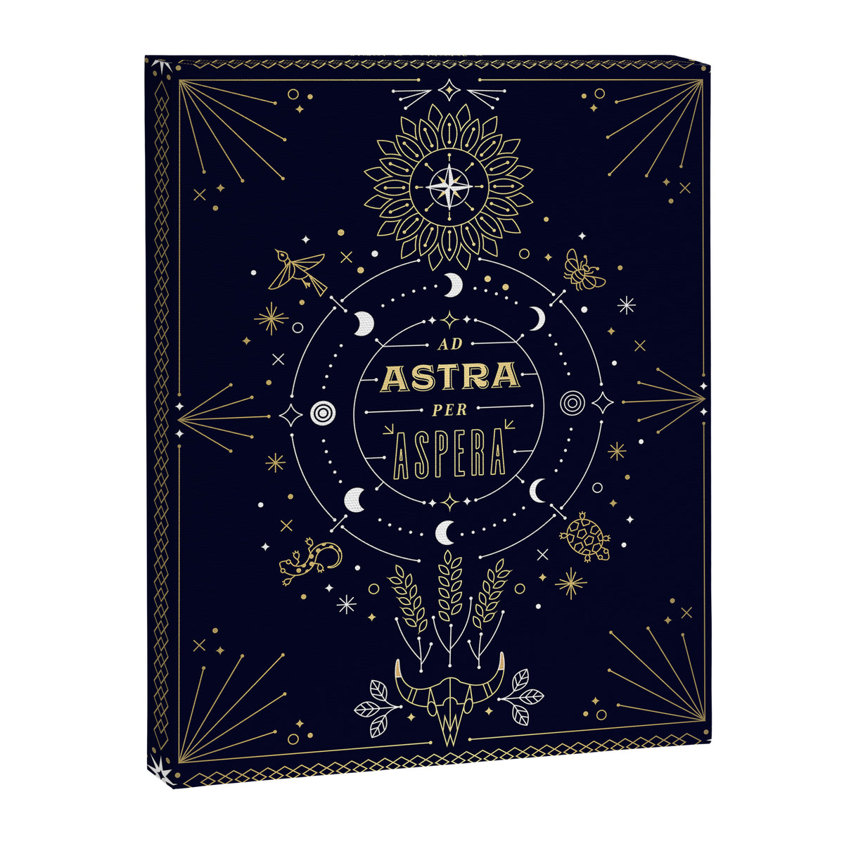 Ad Astra Per Aspera Canvas Print Gallery Image 8