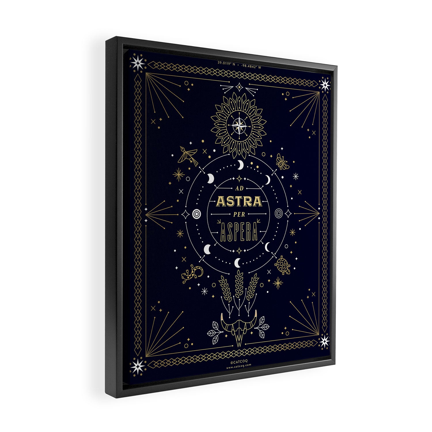 Ad Astra Per Aspera Framed Canvas Print Gallery Image 2