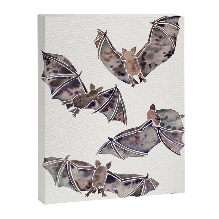Bat Collection Canvas Print Gallery Image 1