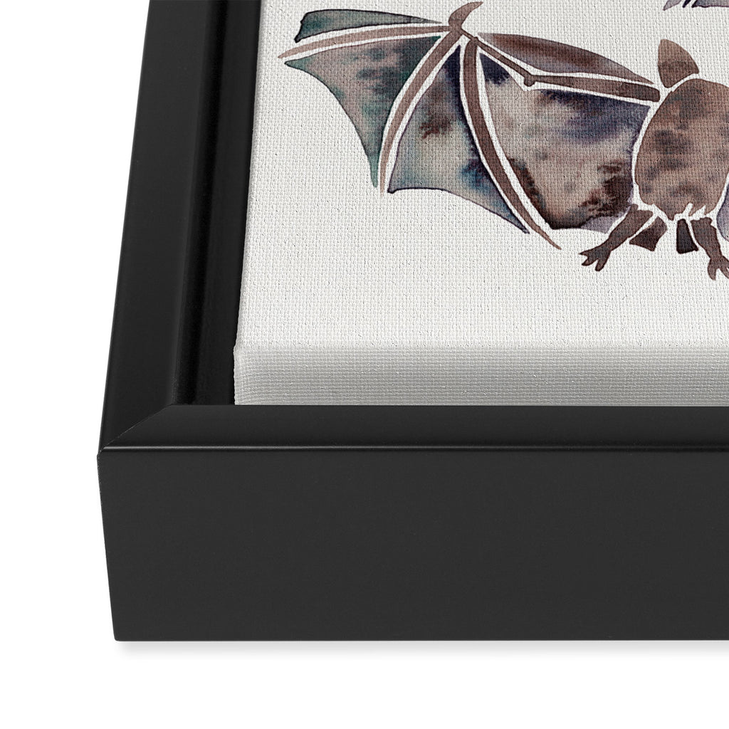 Bat Collection Framed Canvas Print Gallery Image 3
