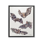 Bat Collection Framed Canvas Print Gallery Image 8