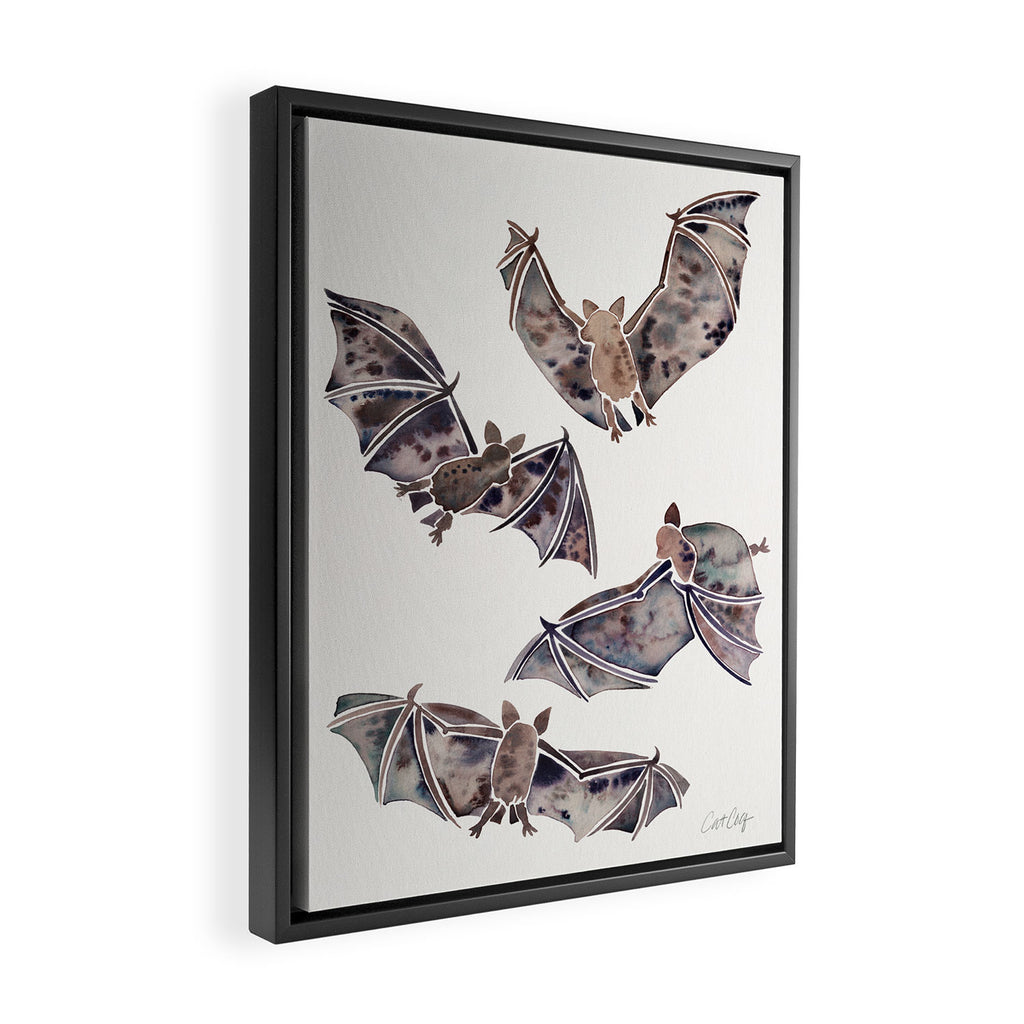 Bat Collection Framed Canvas Print Gallery Image 2