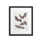 Bat Collection Framed Art Print Gallery Image 6