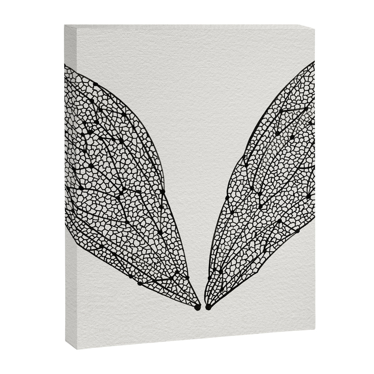 Black Cicada Wings Canvas Print Gallery Image 8