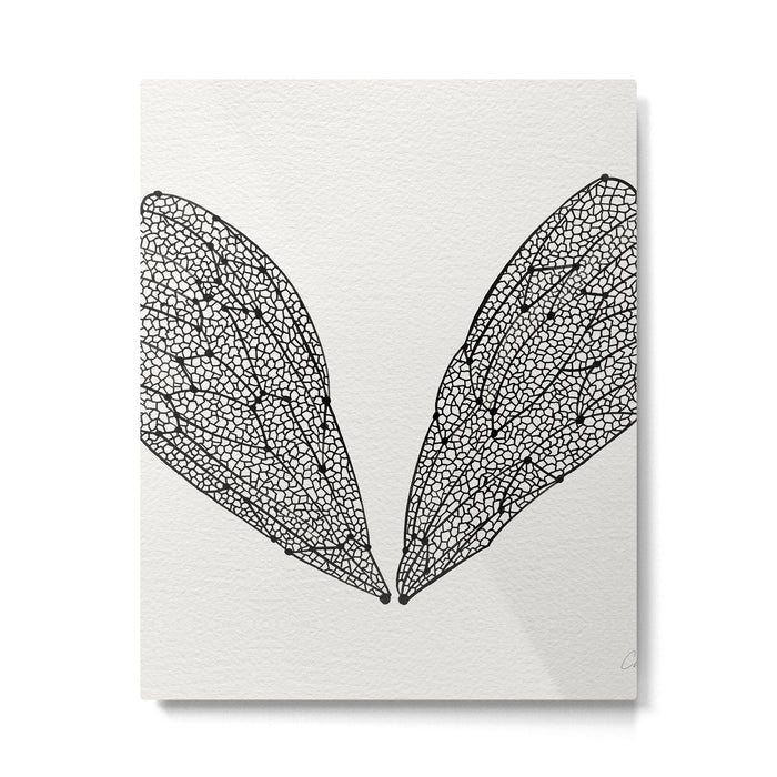 Black Cicada Wings Metal Print Gallery Image 1