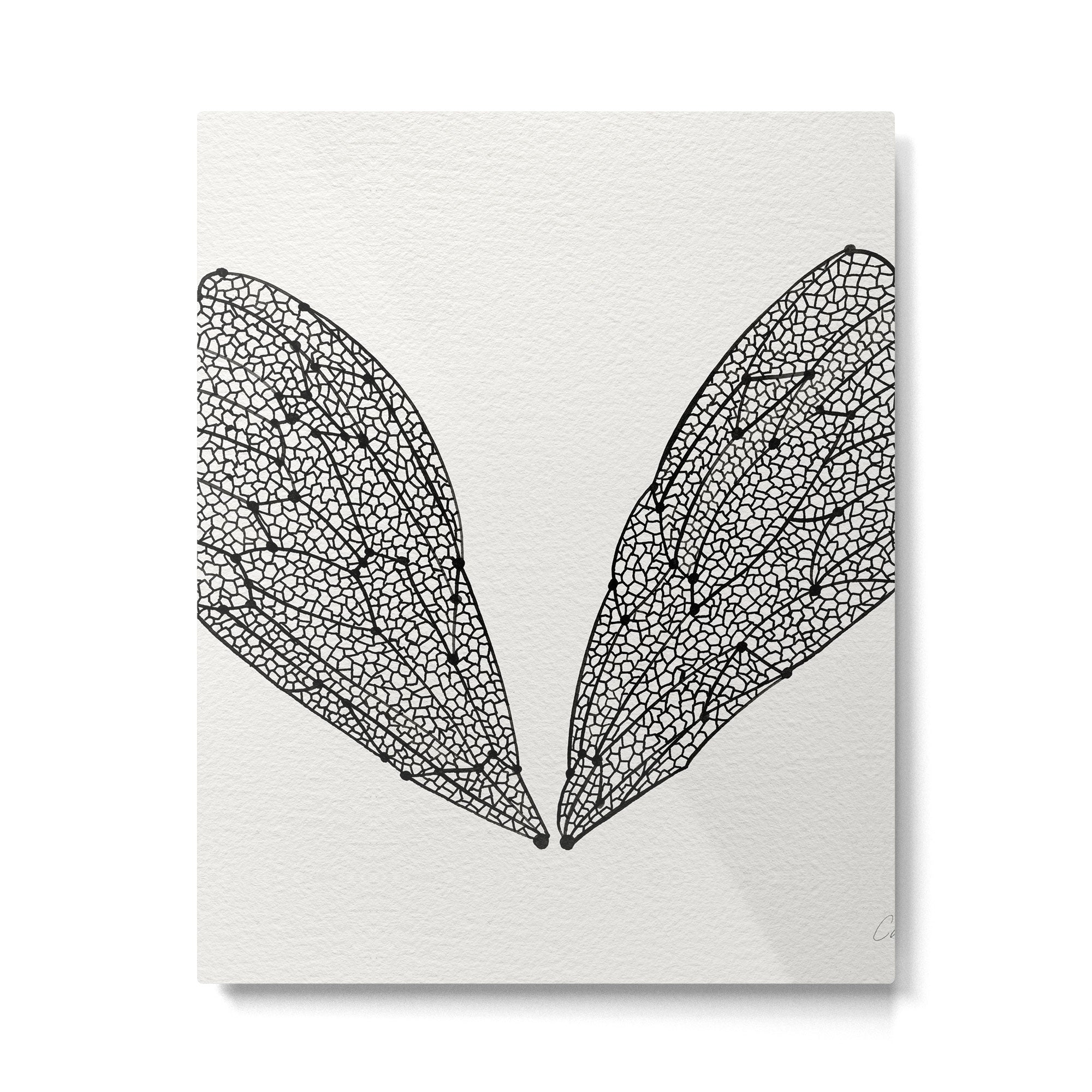Black Cicada Wings Metal Print Gallery Image 6