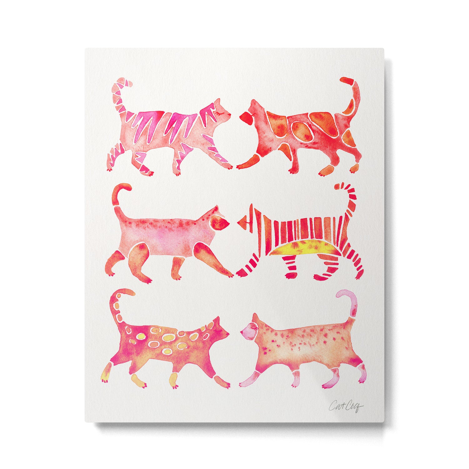 Cat Collection - Pink Palette Metal Print Gallery Image 6