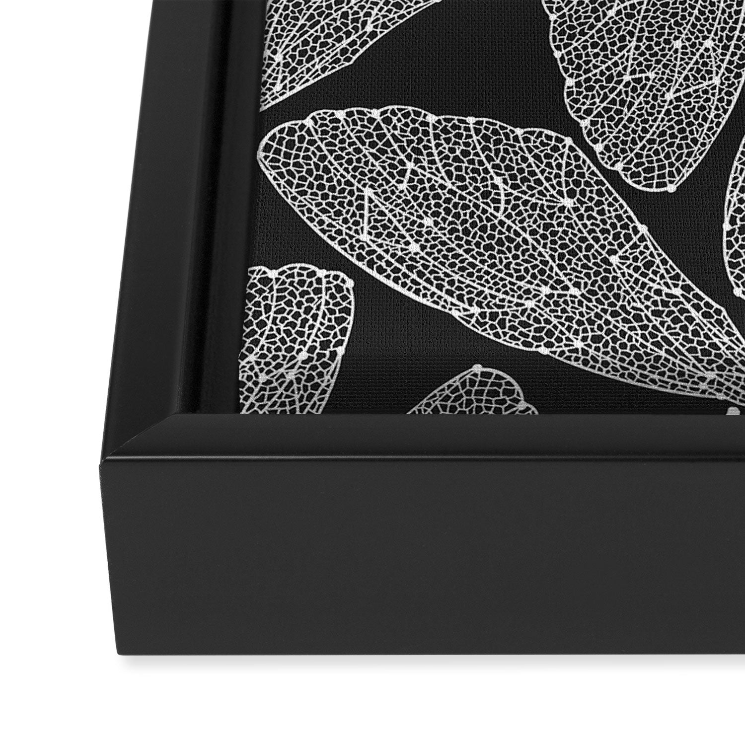 Cicada Wings - White on Black Framed Canvas Print Gallery Image 3