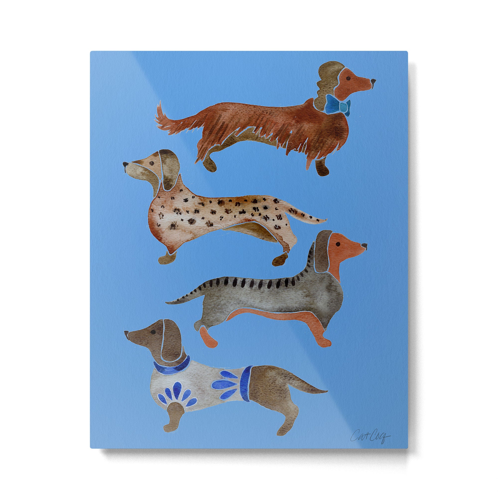 Dachshunds - Cornflower Blue Palette Metal Print Gallery Image 6