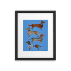 Dachshunds - Cornflower Blue Palette Framed Art Print Gallery Image 4