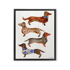 Dachshunds Framed Canvas Print Gallery Image 8