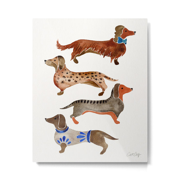 Dachshunds Metal Print Gallery Image 1