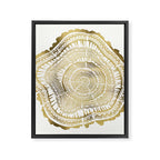 Gold Tree Rings Framed Canvas Print Gallery Image 8