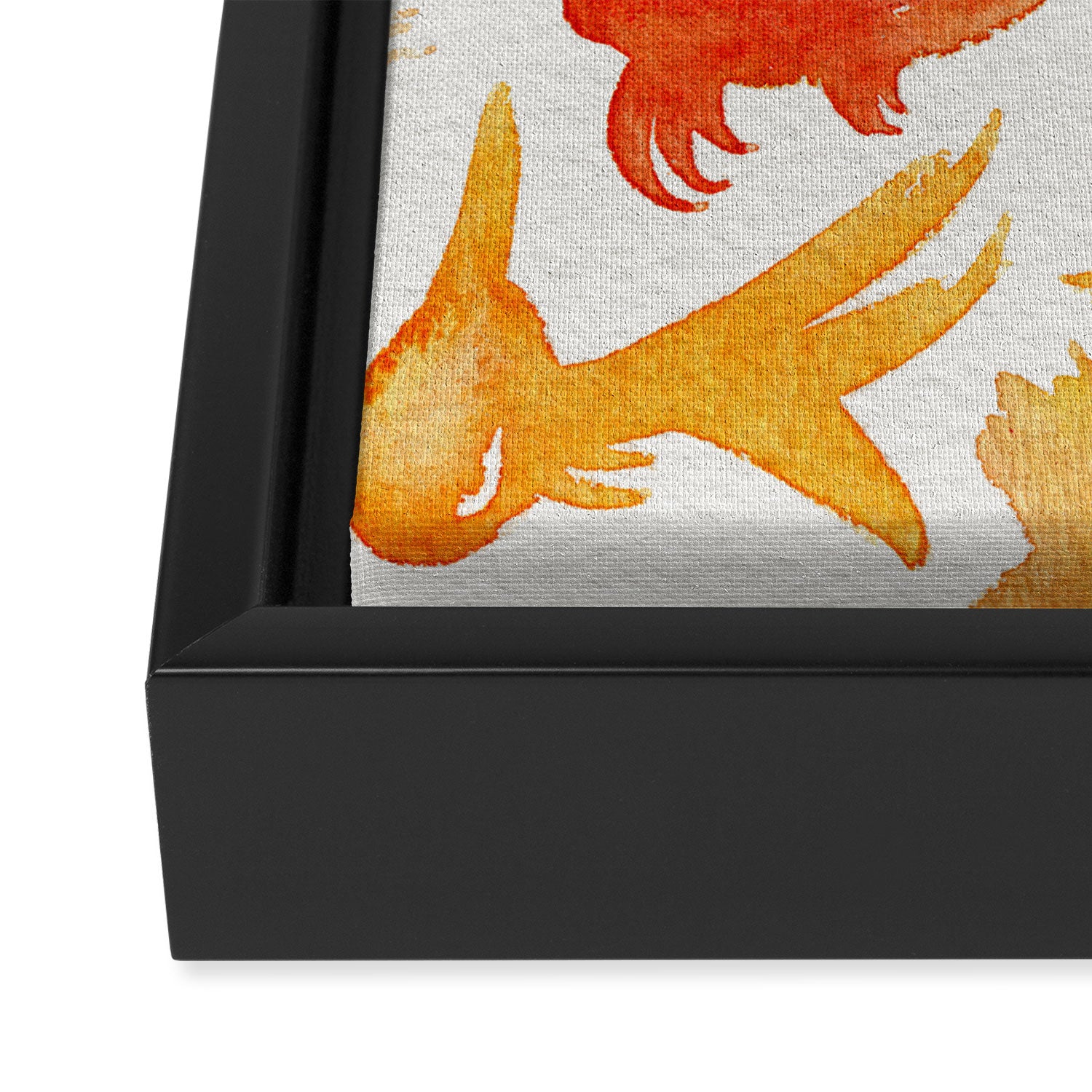 Goldfish Framed Canvas Print Gallery Image 3
