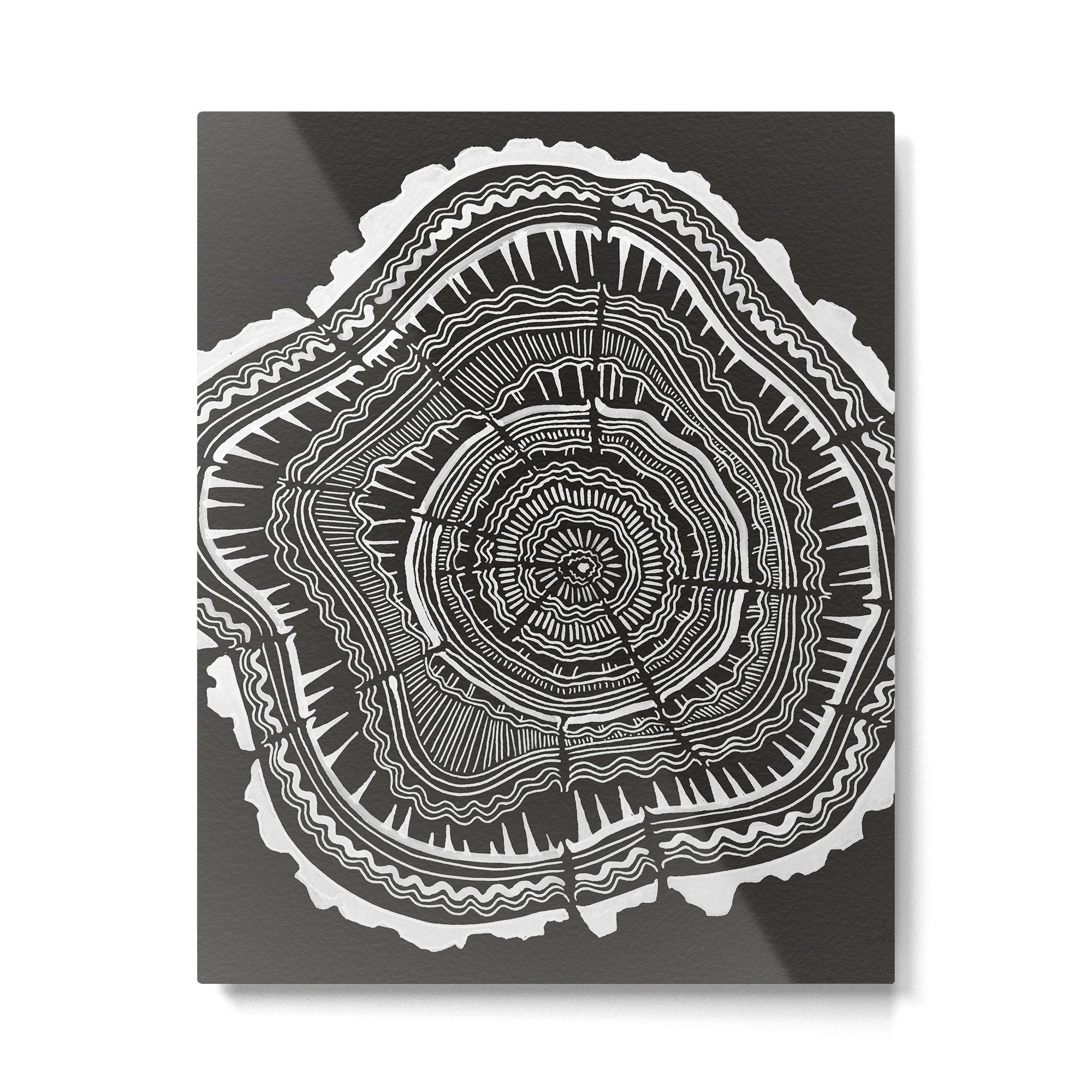 Growth Rings - 65 Years - Black Metal Print Gallery Image 6