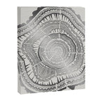 Growth Rings - 65 Years - Silver Canvas Print Gallery Image 8