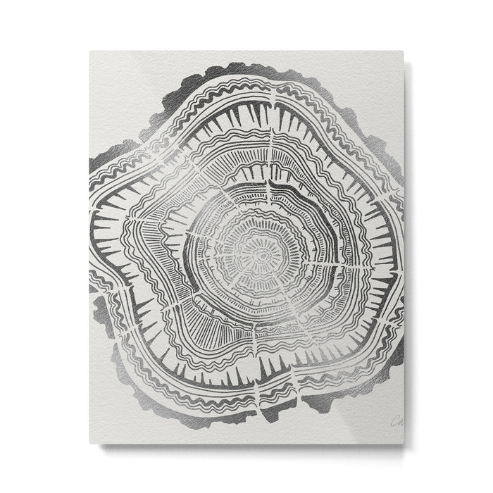 Growth Rings - 65 Years - Silver Metal Print Gallery Image 1