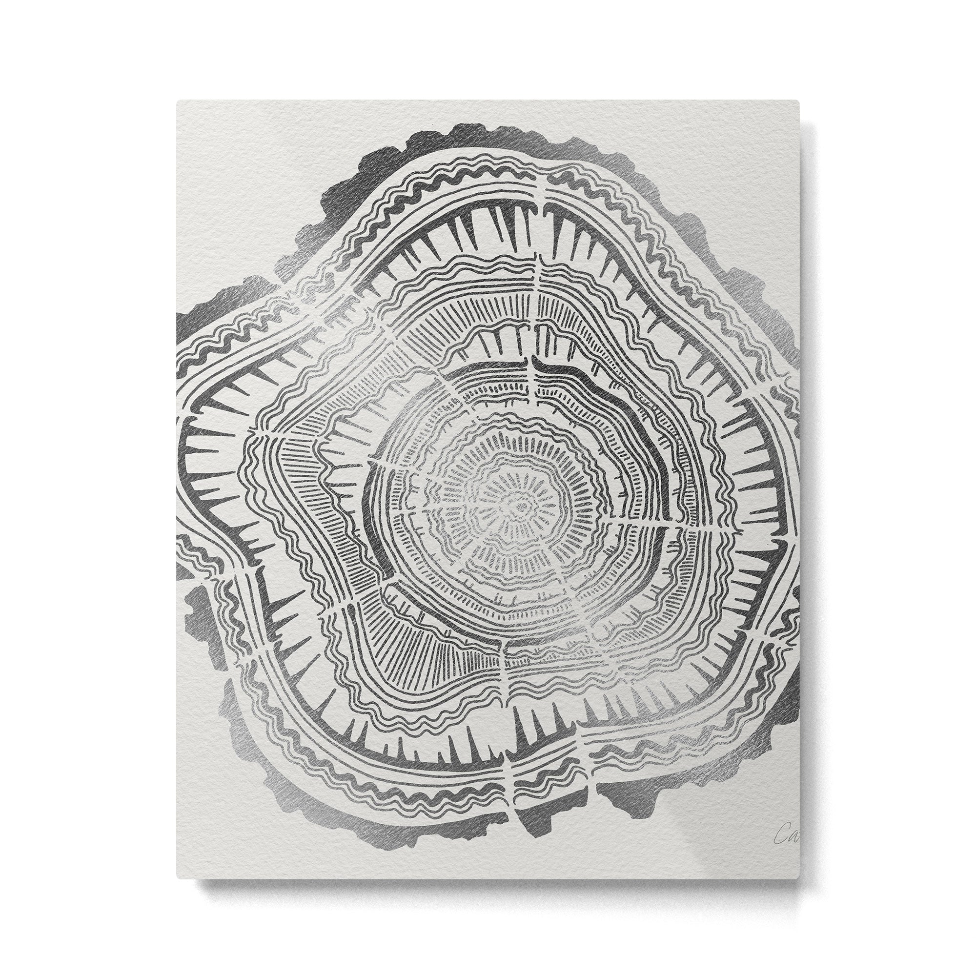 Growth Rings - 65 Years - Silver Metal Print Gallery Image 6