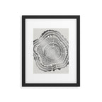 Growth Rings - 65 Years - Silver Framed Art Print Gallery Image 6