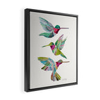 Hummingbirds Framed Canvas Print Gallery Image 2