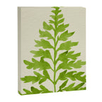 Lime Fern Canvas Print Gallery Image 6