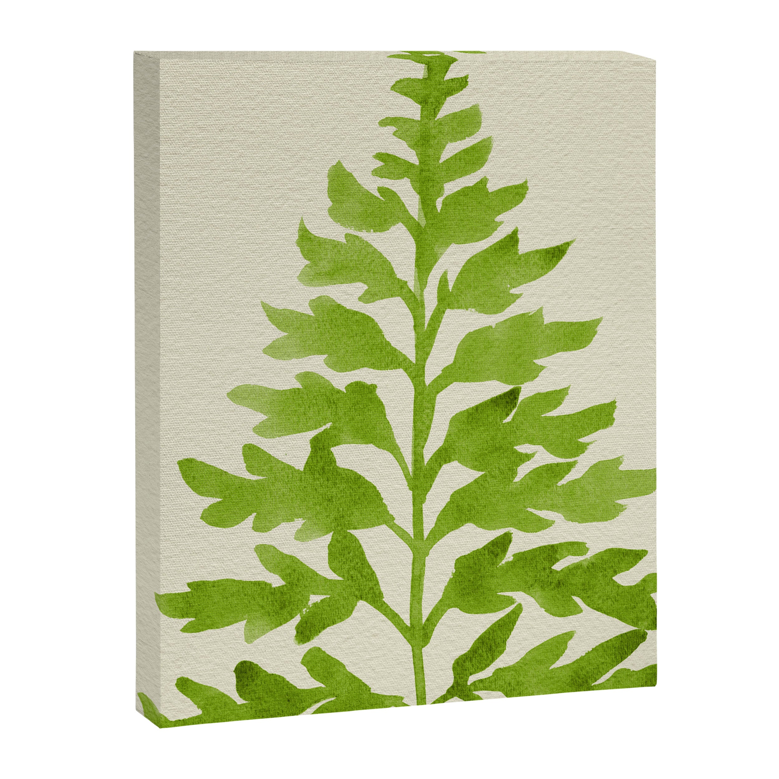 Lime Fern Canvas Print Gallery Image 6