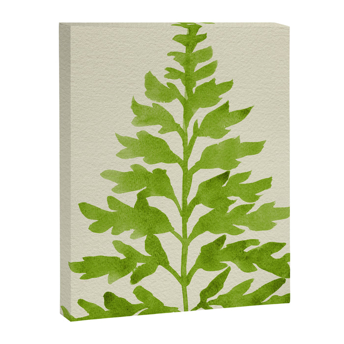 Lime Fern Canvas Print Gallery Image 1