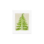 Lime Fern Art Print Gallery Image 1