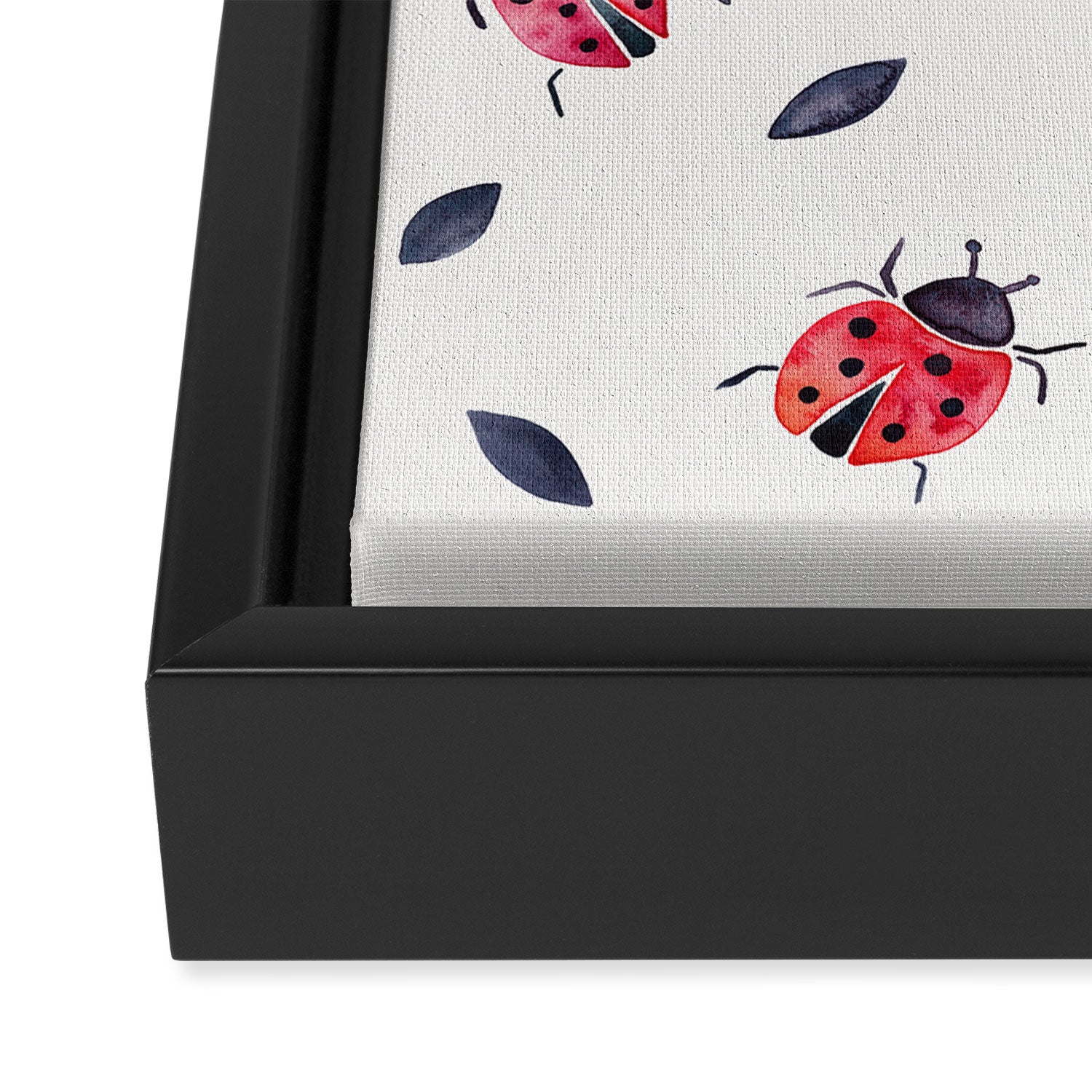 Lucky Ladybugs & Black Leaves Framed Canvas Print Gallery Image 3