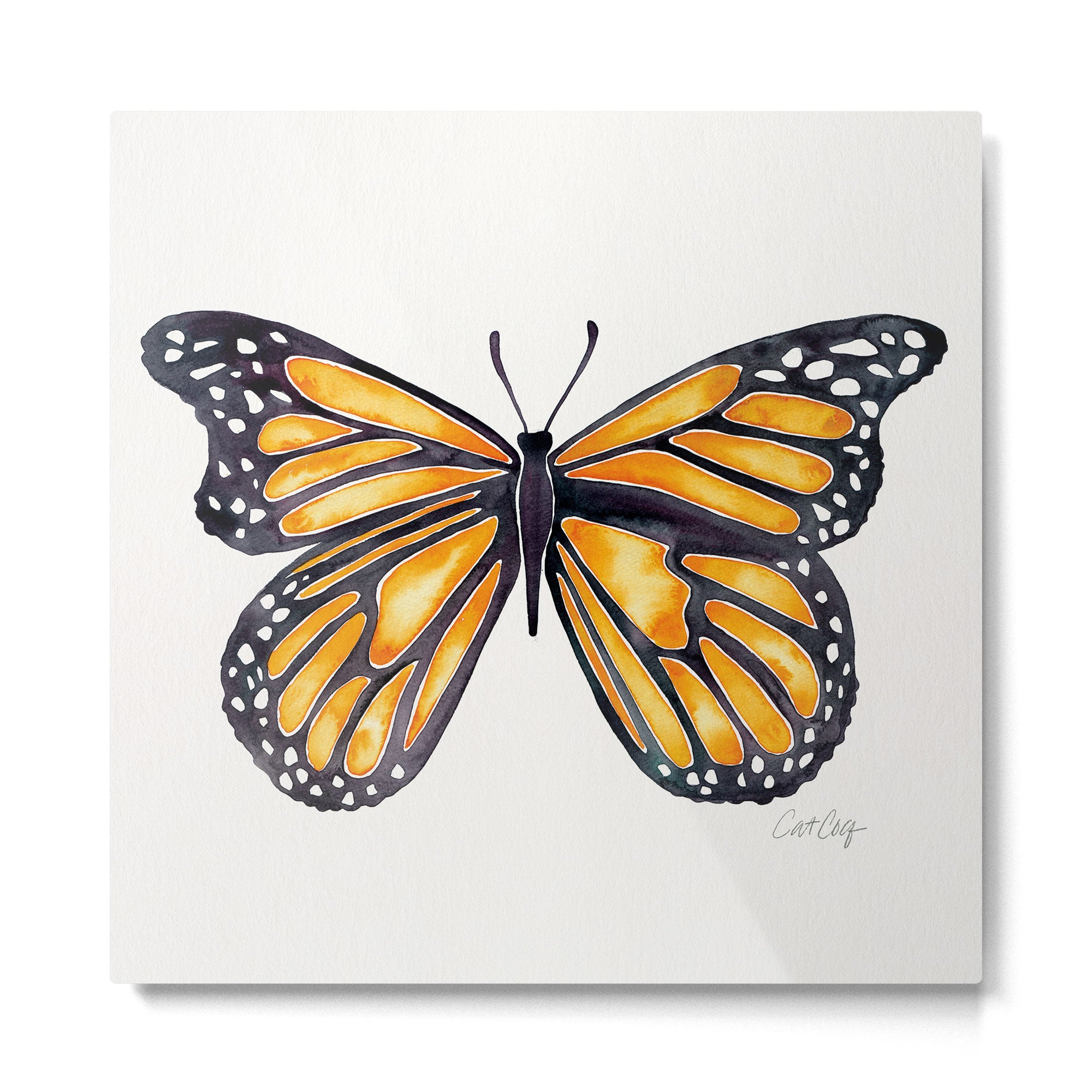 Monarch Butterfly Metal Print Gallery Image 2