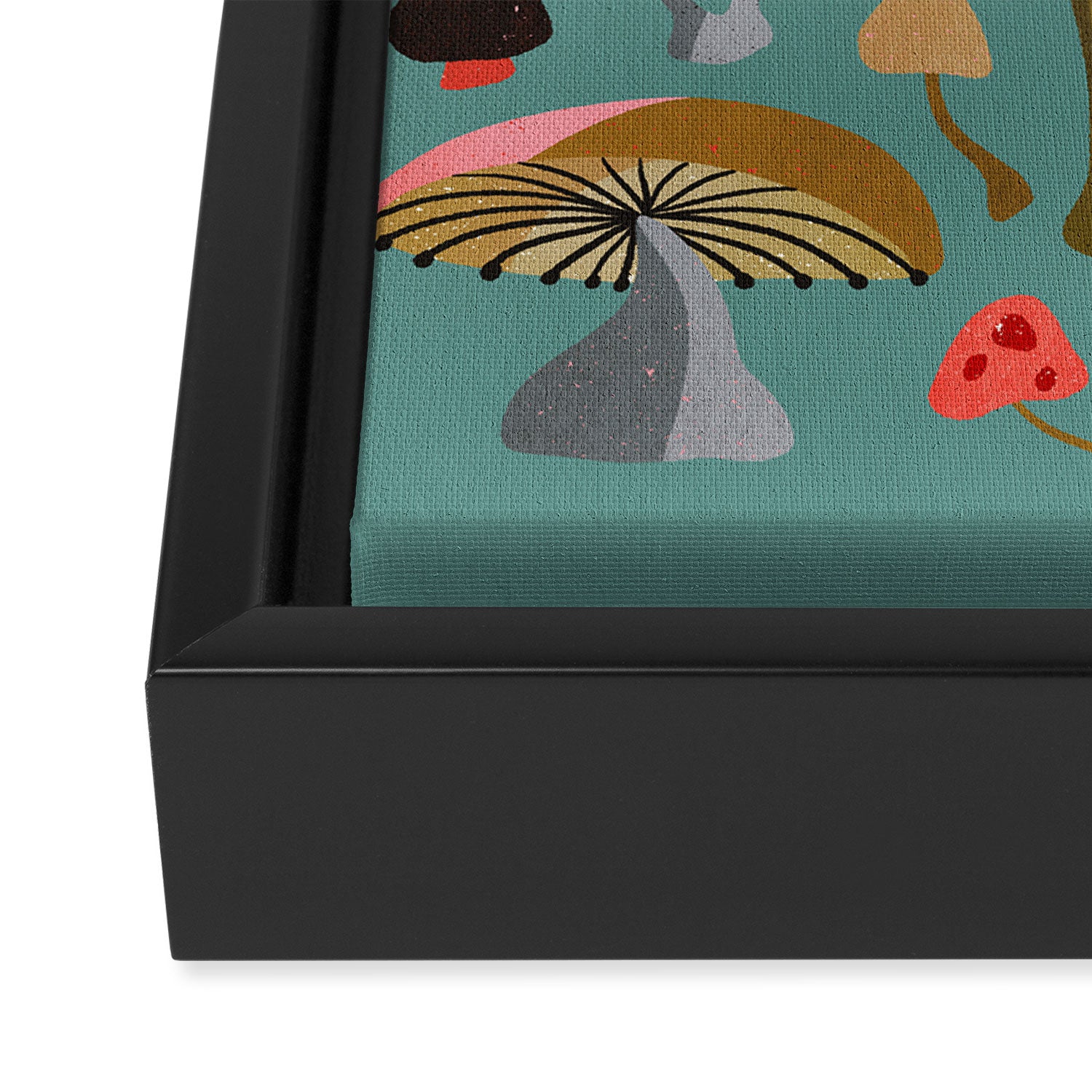 Mushroom Collection - Mint Framed Canvas Print Gallery Image 3