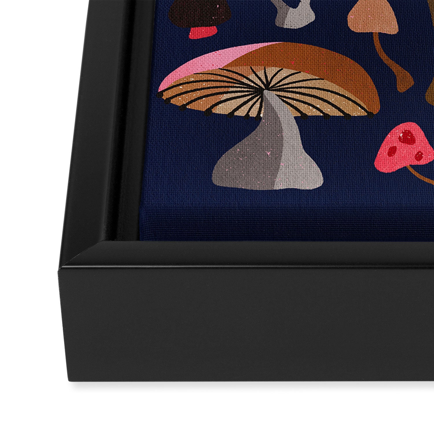 Mushroom Collection - Navy Framed Canvas Print Gallery Image 3