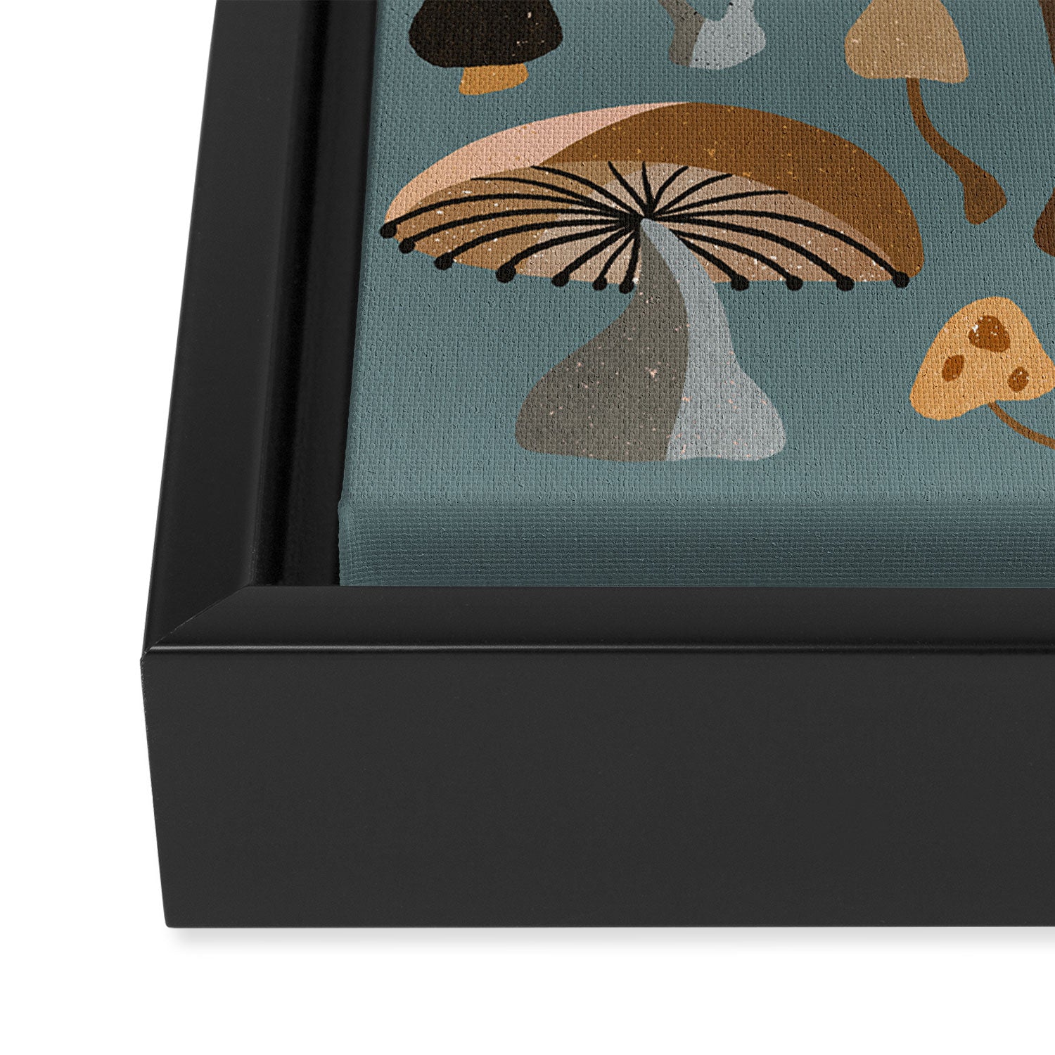 Mushroom Collection â Neutral Palette Framed Canvas Print Gallery Image 3