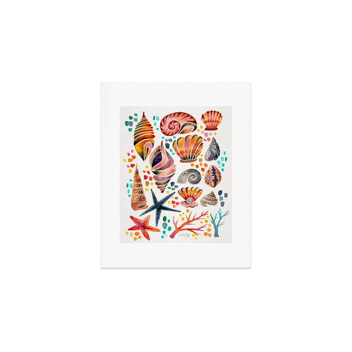 Painted Seashells - Coral & Blue Art Print Gallery Image 1