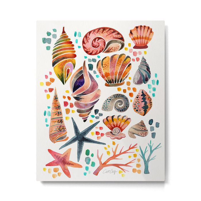 Painted Seashells - Coral & Blue Metal Print Gallery Image 1