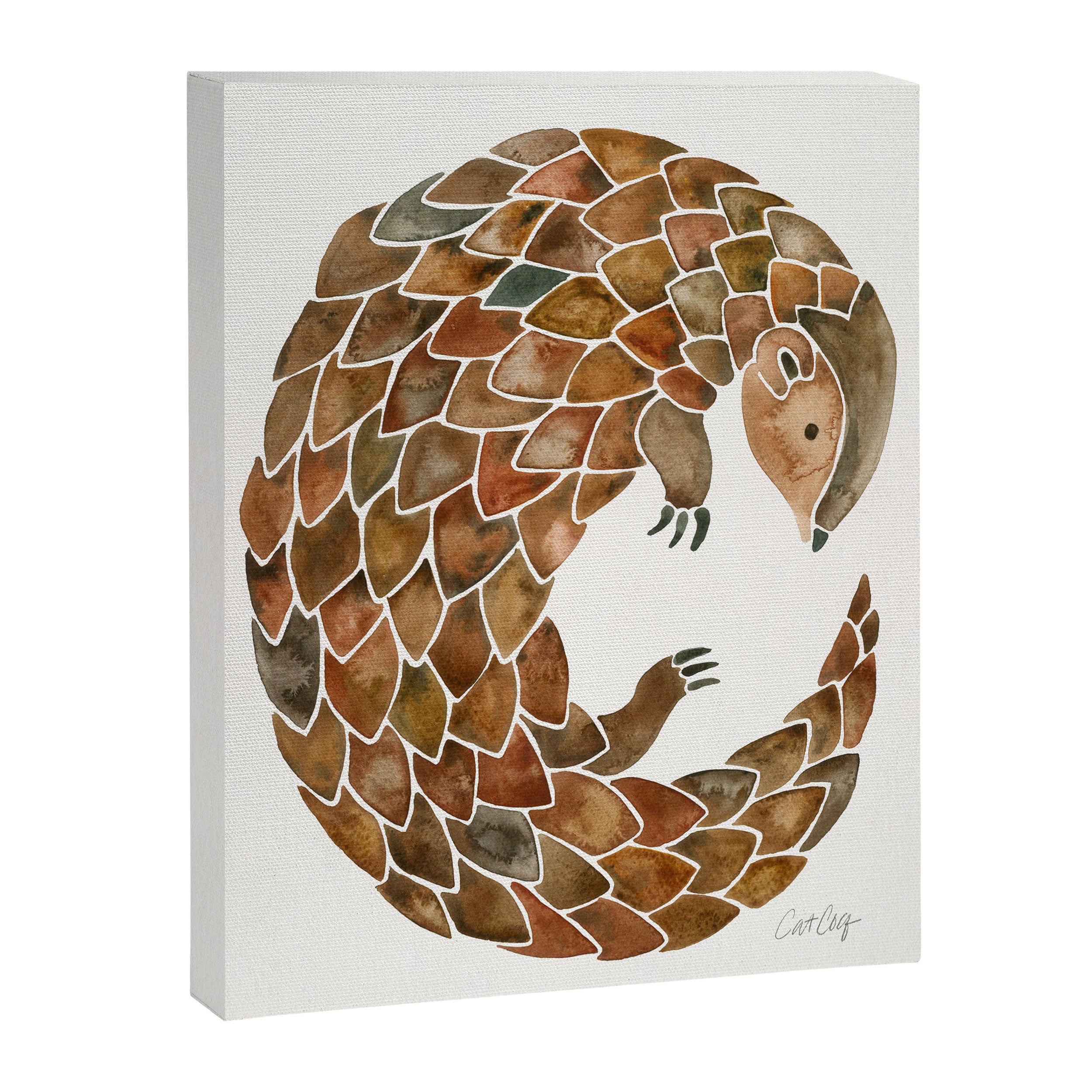 Pangolin Canvas Print Gallery Image 8