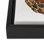 Pangolin Framed Canvas Print Gallery Image 3