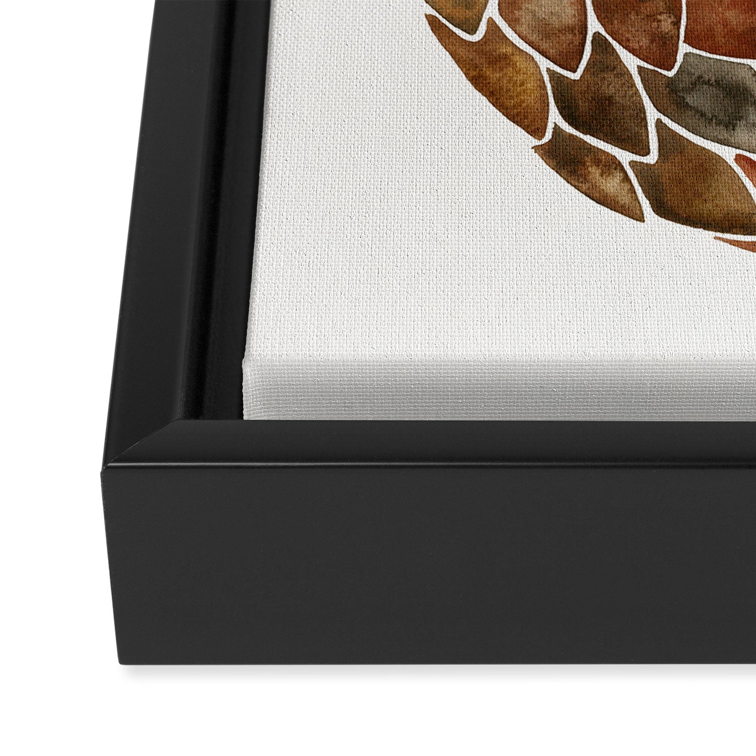 Pangolin Framed Canvas Print Gallery Image 3