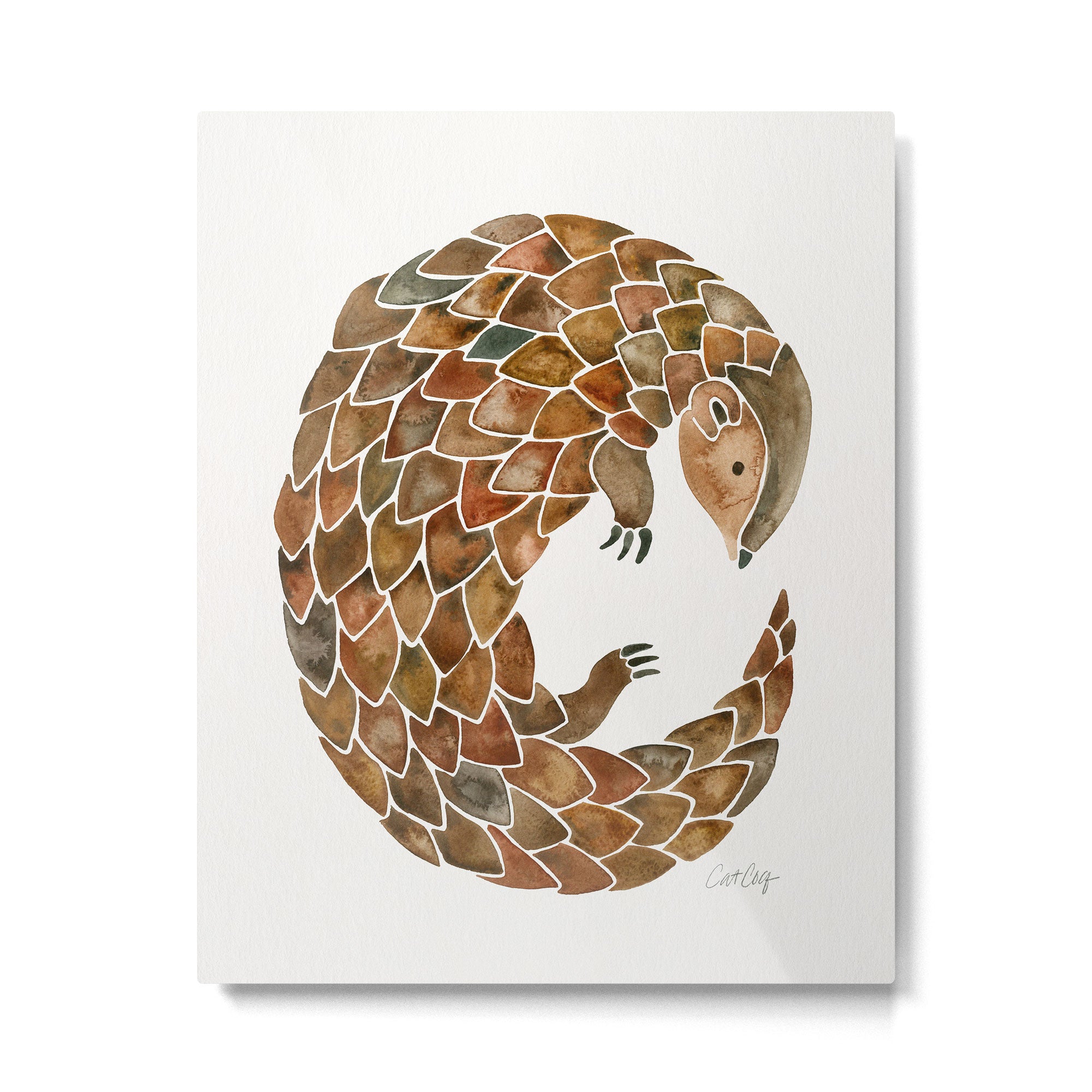 Pangolin Metal Print Gallery Image 6