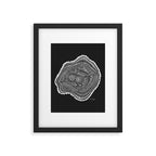 Peachleaf Willow â White on Black Framed Art Print Gallery Image 6