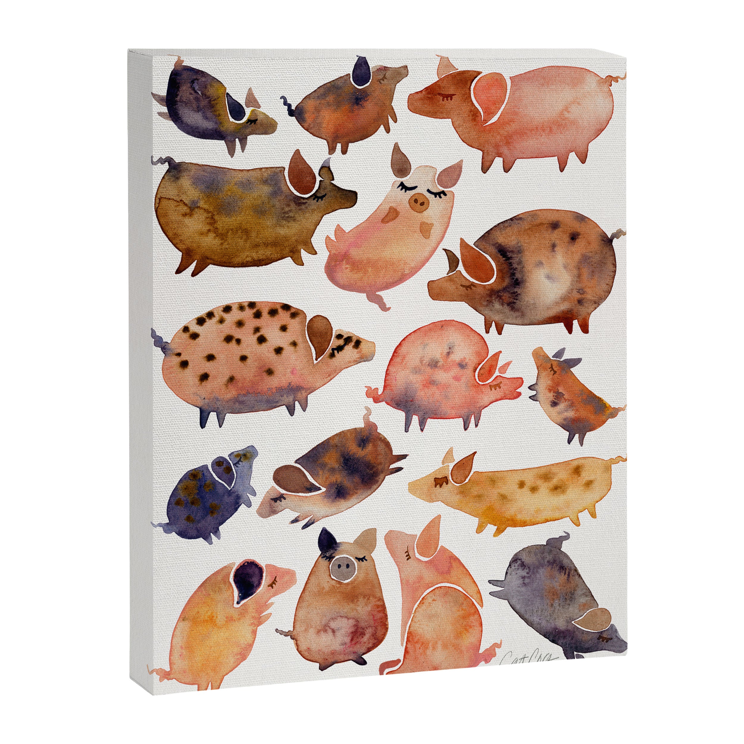 Pig Collection Canvas Print Gallery Image 6